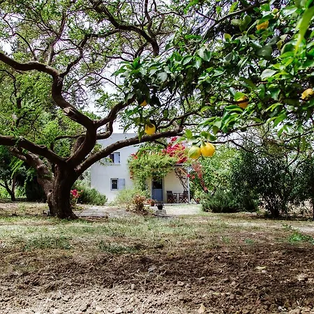 Margouno Eco Engaraí