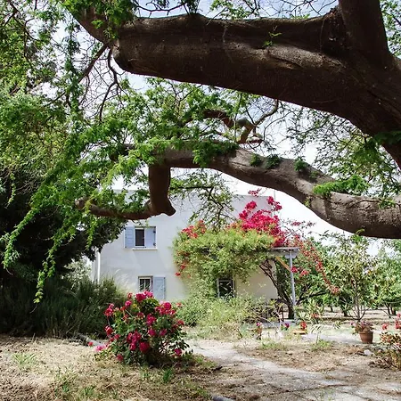 Margouno Eco Engaraí