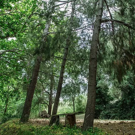 Margouno Eco Engaraí
