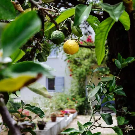 Margouno Eco Engaraí